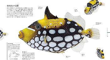 OCEAN LIFE 図鑑 海の生物 | スミソニアン協会, ロンドン自然史博物館