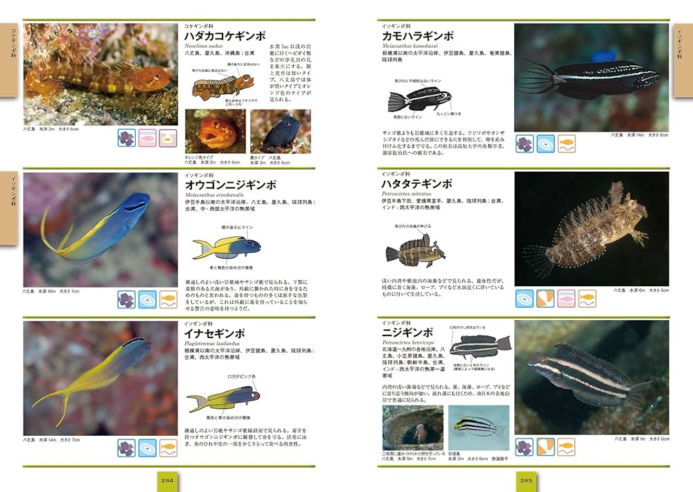 スズメダイ : ひと目で特徴がわかる図解付き : スズメダイ200種 図鑑