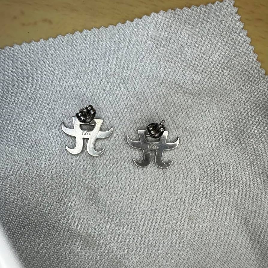 Amazon.co.jp: 浜崎あゆみ公式グッズ シルバーピアス : おもちゃ