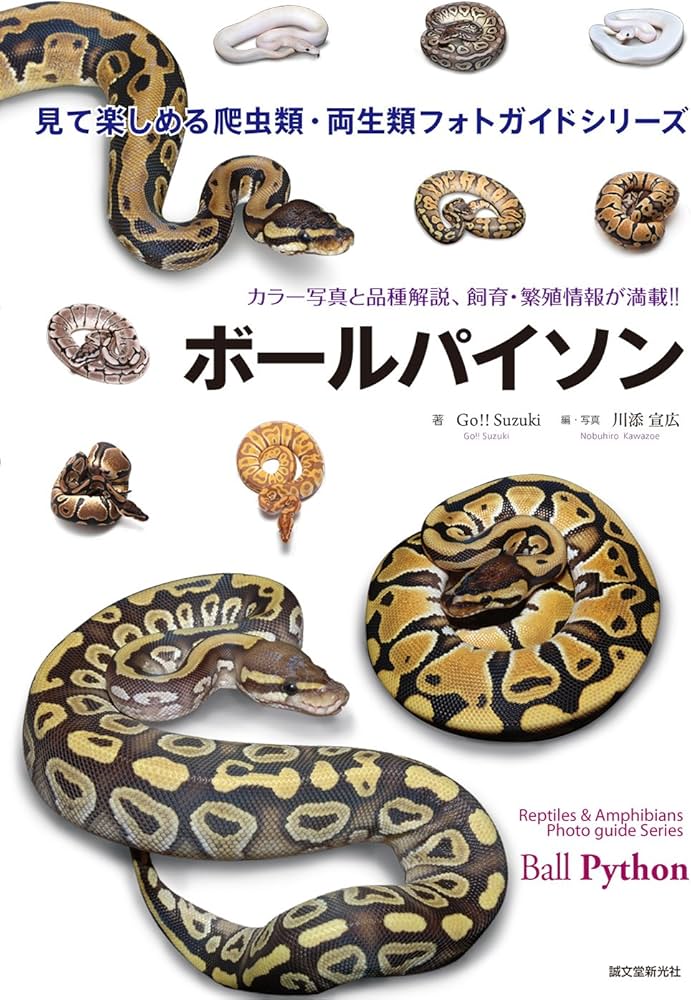 Amazon.co.jp: ボールパイソン (見て楽しめる爬虫類・両生類フォト