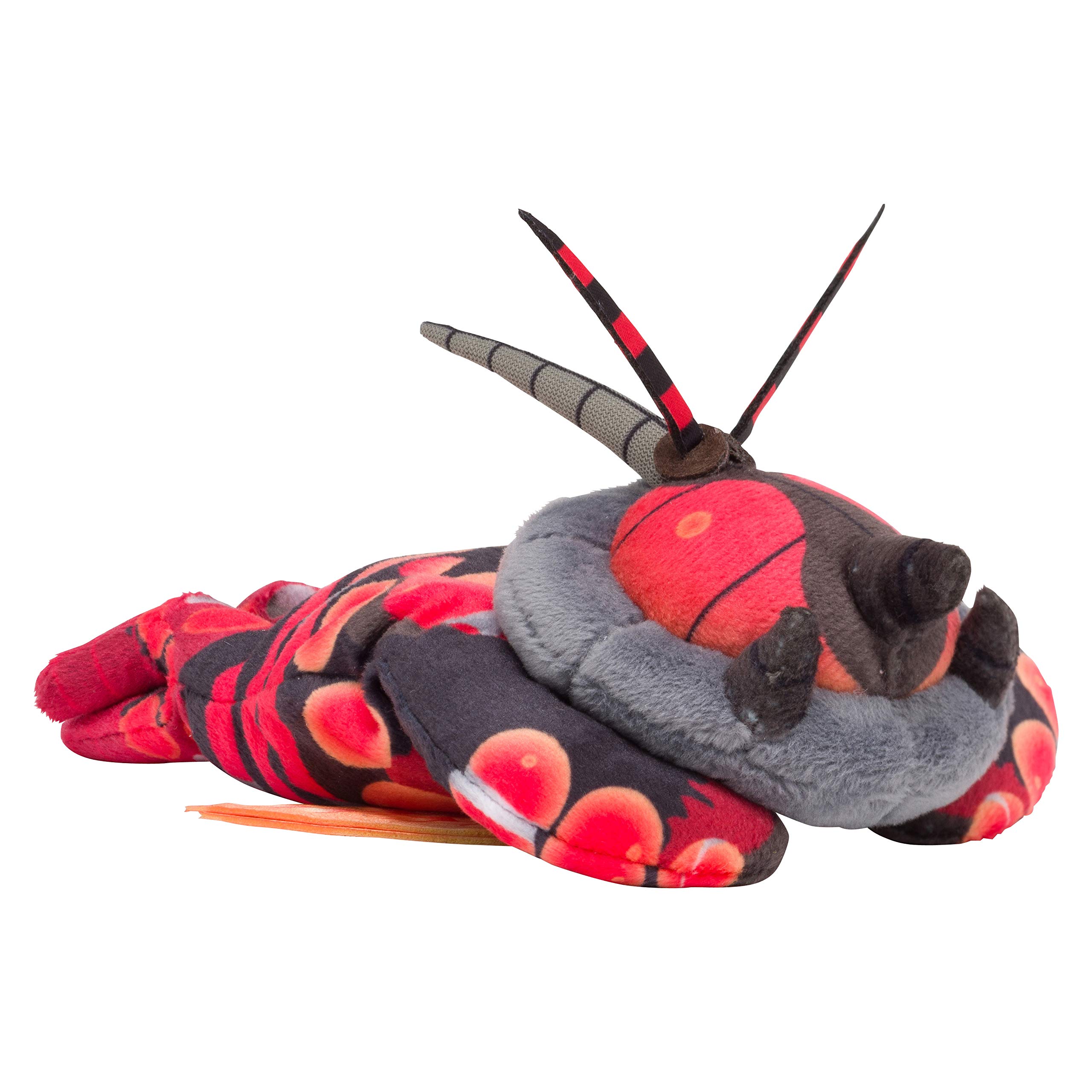 Amazon.co.jp: ポケモンセンターオリジナル くったりぬいぐるみ