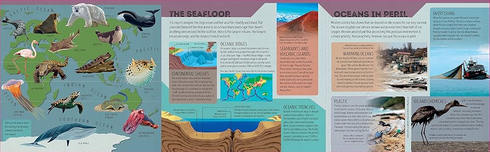 洋書 MERGUS wels Atlas 1 ナマズ 洋書 MERGUS wels Atlas 1 ナマズ