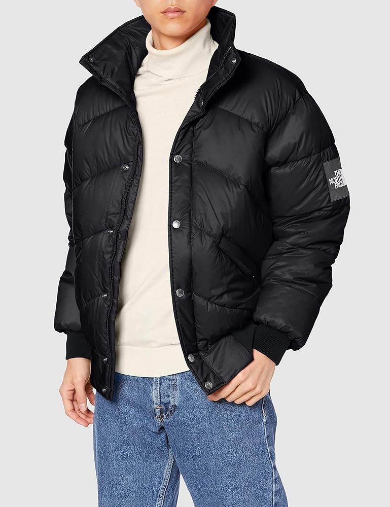 Amazon | [ザノースフェイス] ラークスパージャケット メンズ NY82031