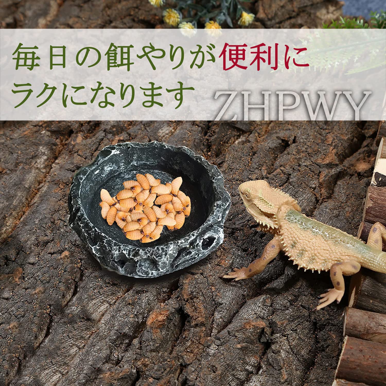 Amazon | ウォーターディッシュ 爬虫類 両生類 水飲み場 給餌