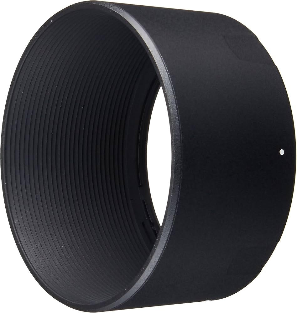 Amazon.co.jp: TAMRON 単焦点マクロレンズ SP AF60mm F2 DiII MACRO 1