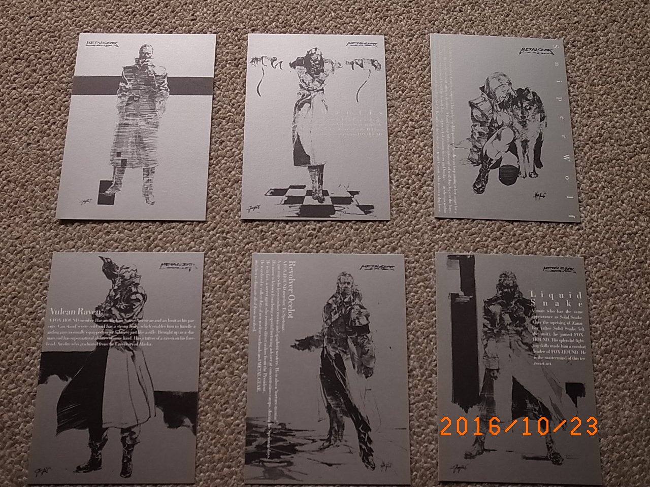 Amazon.co.jp: メタルギアソリッド (プレミアムパッケージ) : Video Games