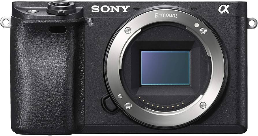 Amazon.com : Sony Alpha a6500 Mirrorless Digital Camera w/ 2.95