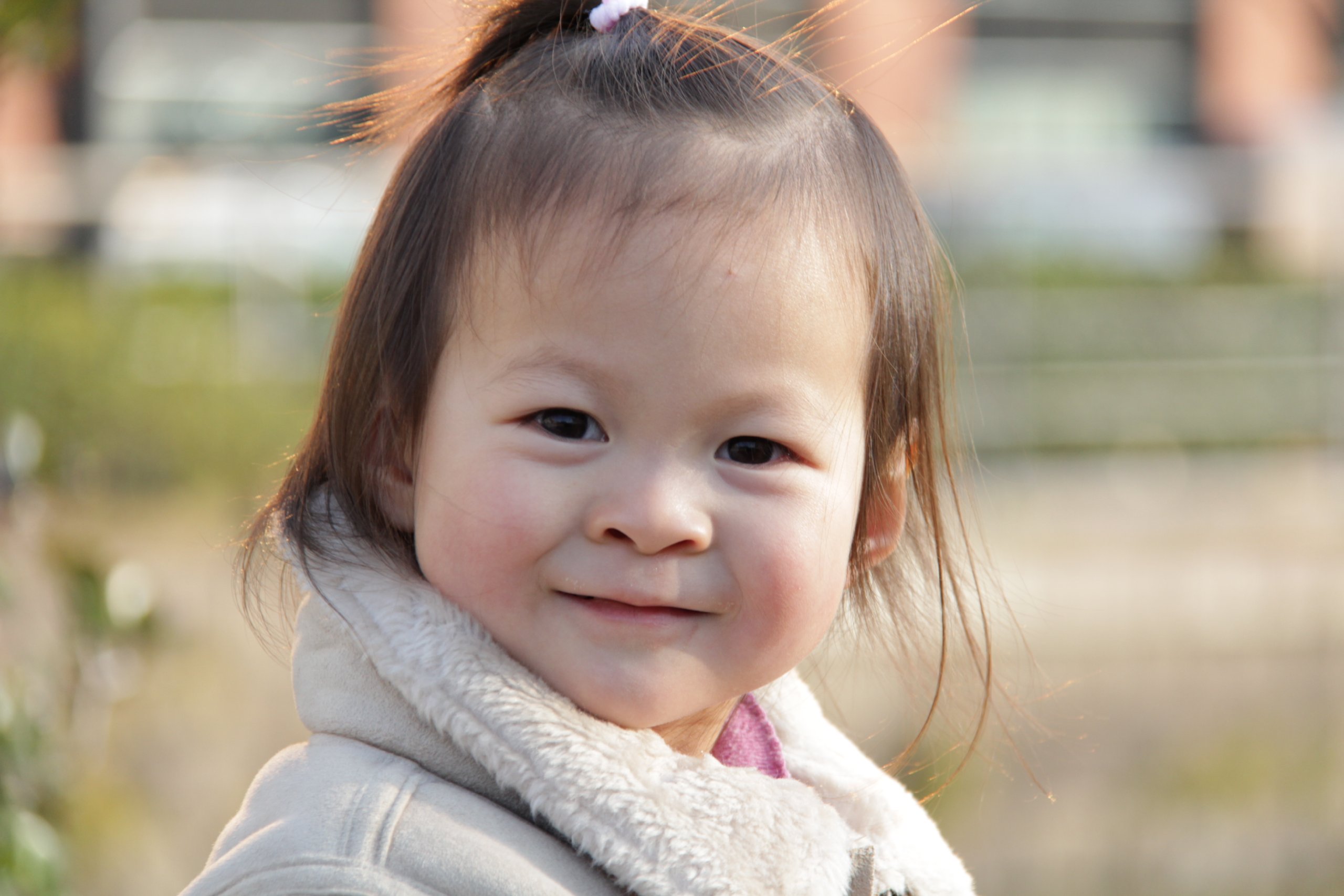 Amazon.co.jp: Canon 望遠ズームレンズ EF-S18-200mm F3.5-5.6 IS APS