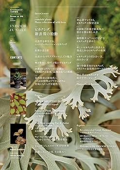 81uFoIZ6UhL._AC_UF350,