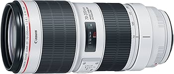 Amazon.com : Canon EF 70-200mm f/2.8L is III USM Lens for Canon