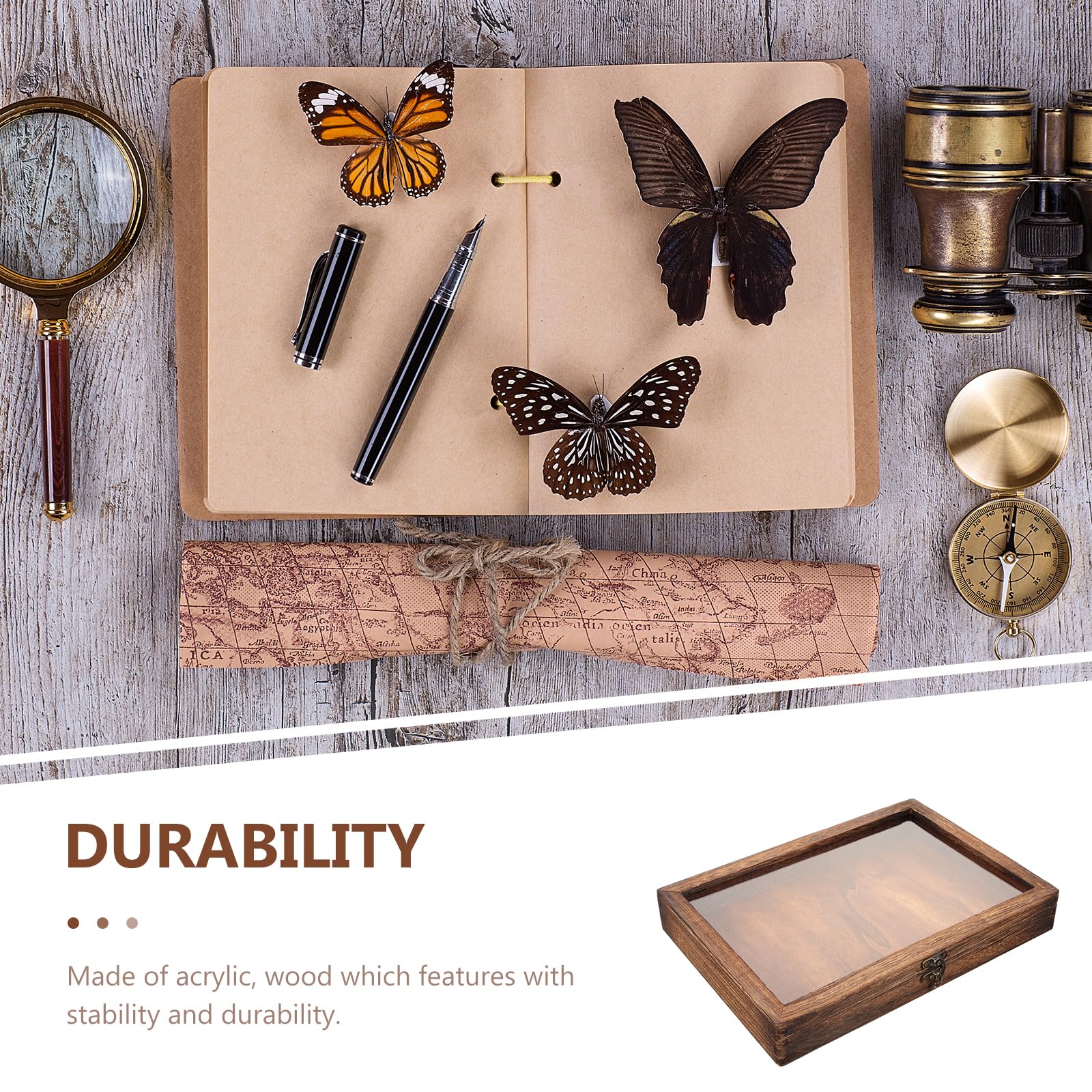 Amazon.co.jp: TOYMYTOY 木製昆虫展示ケース 12×8.7×1.7インチ 透明