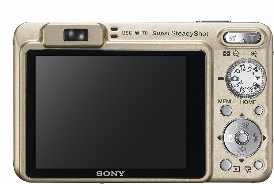 Amazon.com : Sony Cybershot DSCW170/G 10.1MP Digital Camera with