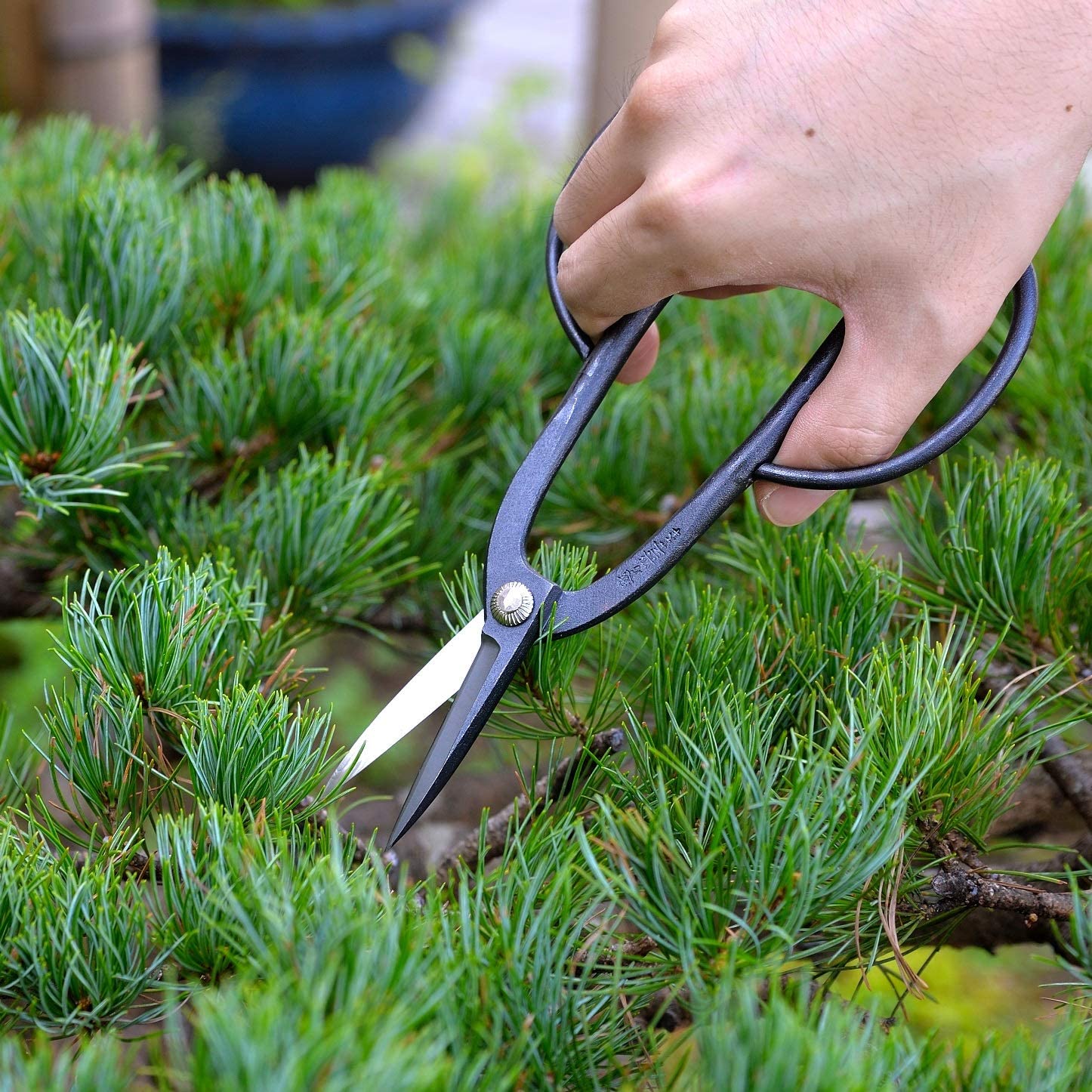 Amazon.co.jp: KAKURI 日本製 盆栽道具セット 7本 日本製 プロ仕様