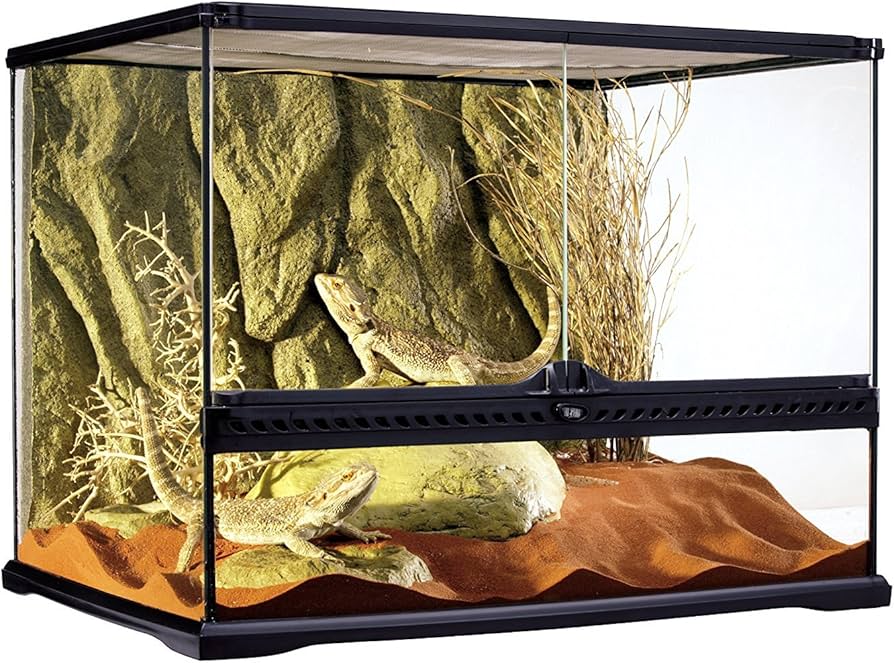 Amazon | エキゾテラ GEX EXOTERRA グラステラリウム 6045 PT2610