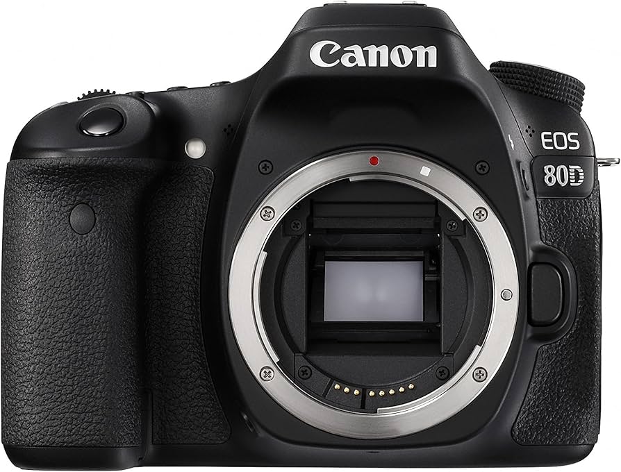 Amazon.com : Canon EOS 80D Digital SLR Camera Body (Black