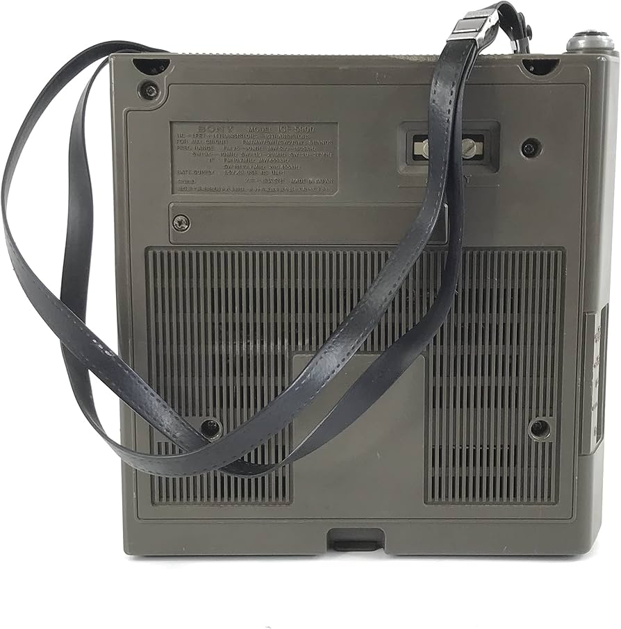 81BCup5h1RL._AC_UF894,