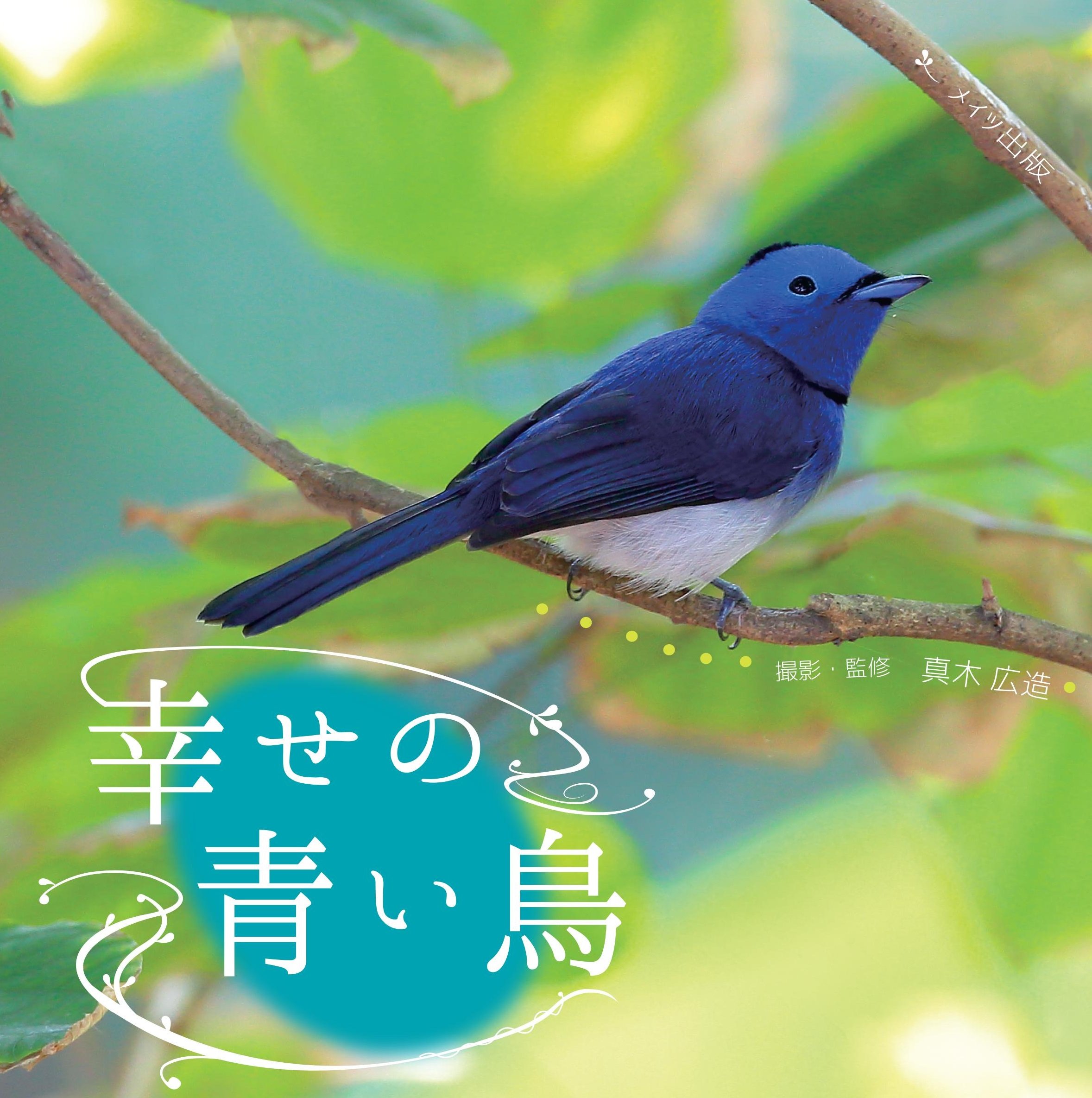 幸せの青い鳥 | 真木 広造, 真木 広造 |本 | 通販 | Amazon
