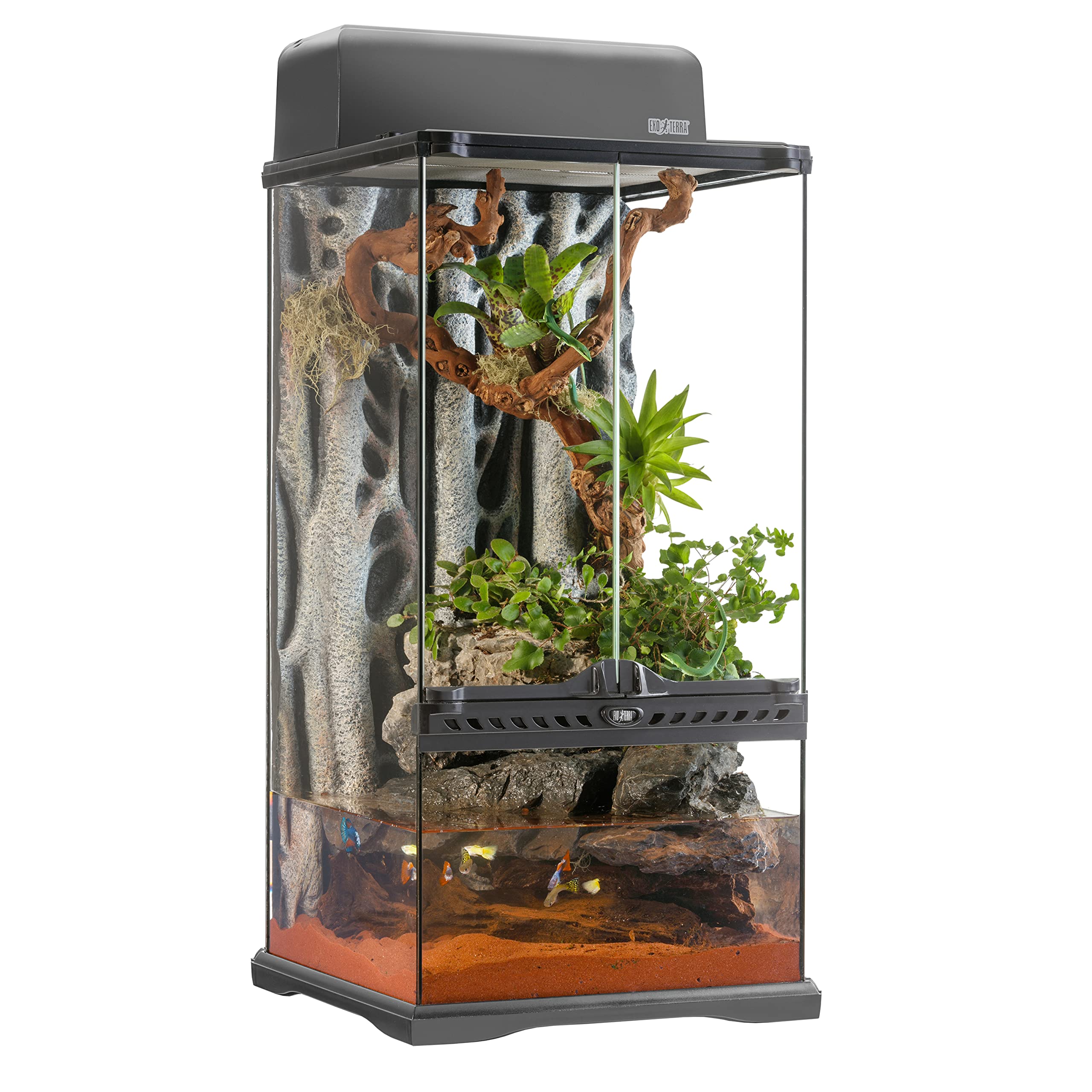 Amazon | エキゾテラ GEX EXOTERRA グラステラリウム3060 PT2595