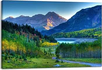 81CIHfuUCVL._AC_UF350,