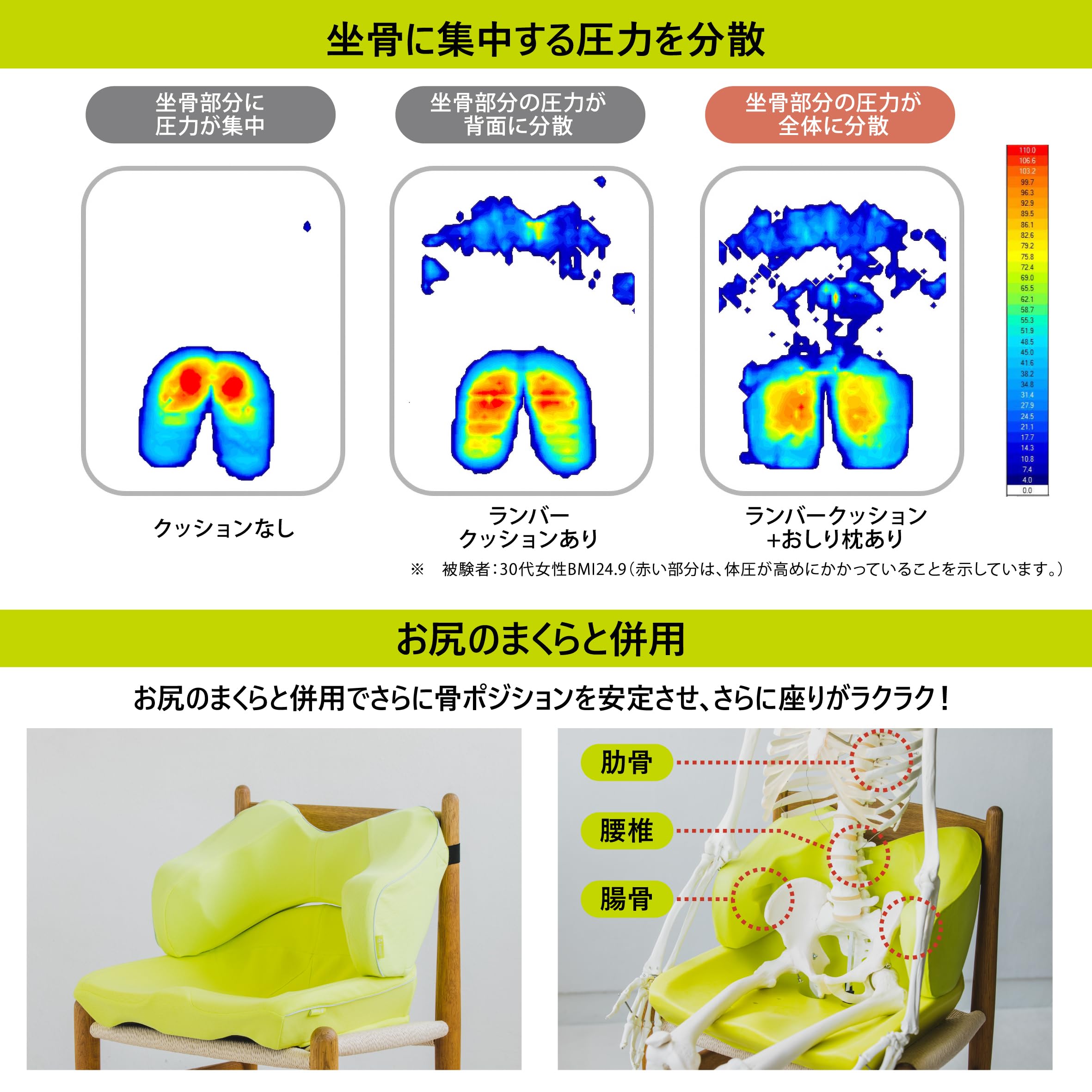 Amazon.co.jp: nishikawa【西川】 キープス 腰クッション いつもの椅子