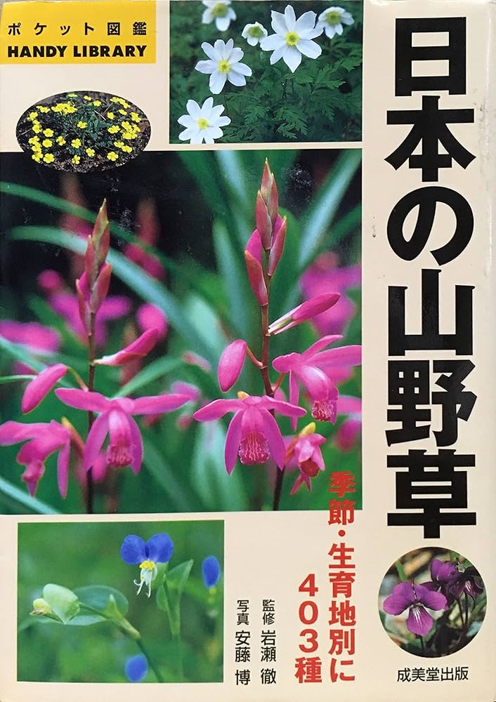 日本の山野草 (ポケット図鑑) | 安藤 博 |本 | 通販 | Amazon
