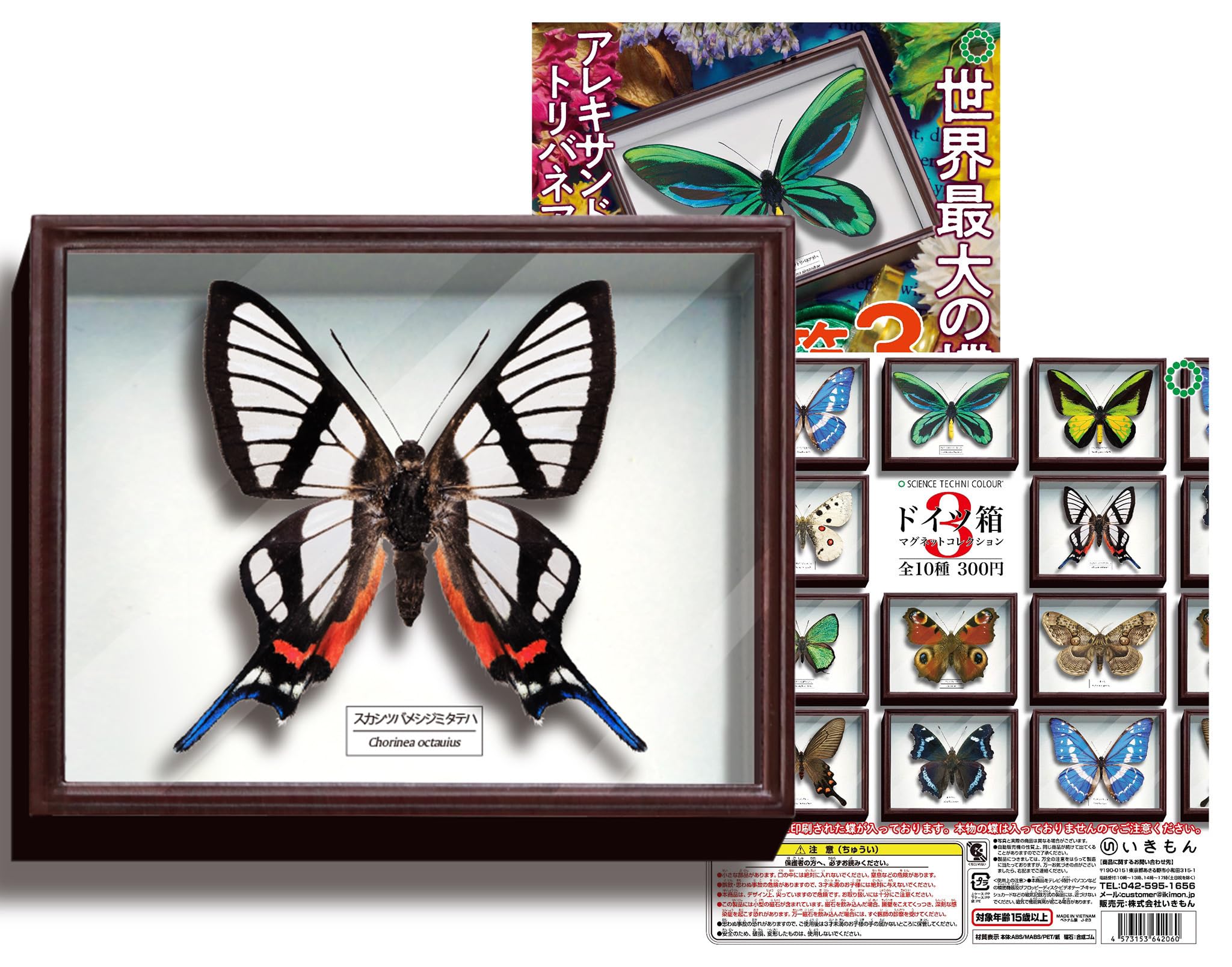 大型標本箱(ドイツ箱？)3個セット 大型標本箱(ドイツ箱？)3個セット