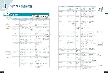 薬ゼミの要点集 化学（薬剤師国家試験対策参考書） | 薬学ゼミナール