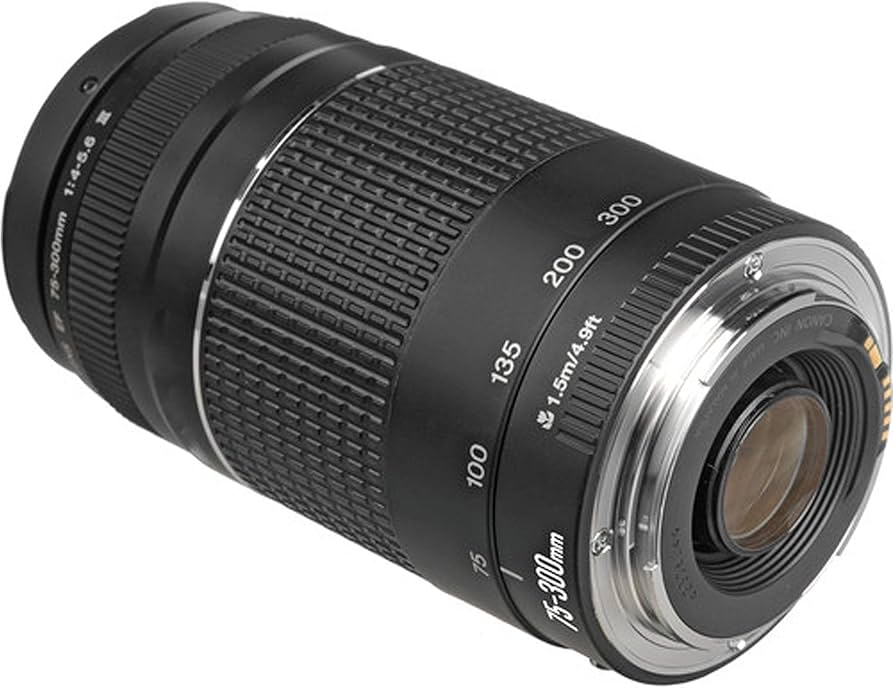 Amazon.co.jp: Canon EF 75-300mm f/4-5.6 III 望遠ズームレンズ 2倍