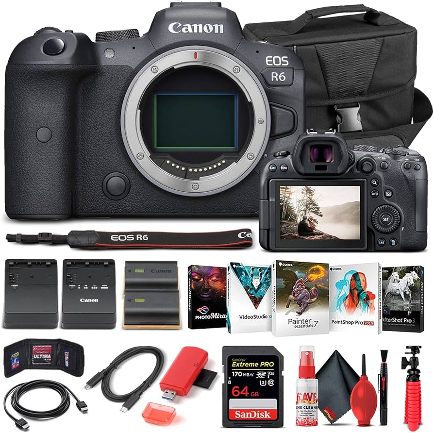 Amazon.com : Canon EOS R6 Mirrorless Digital Camera (Body Only