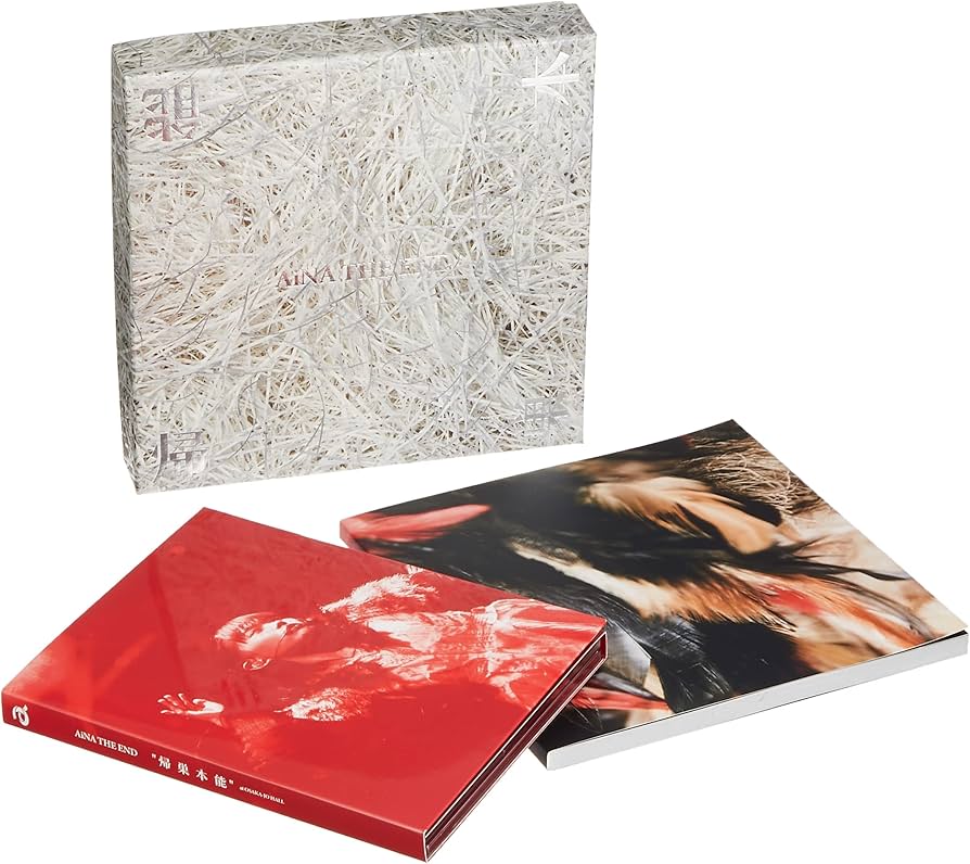 Amazon.co.jp: 【Amazon.co.jp限定】AiNA THE END 