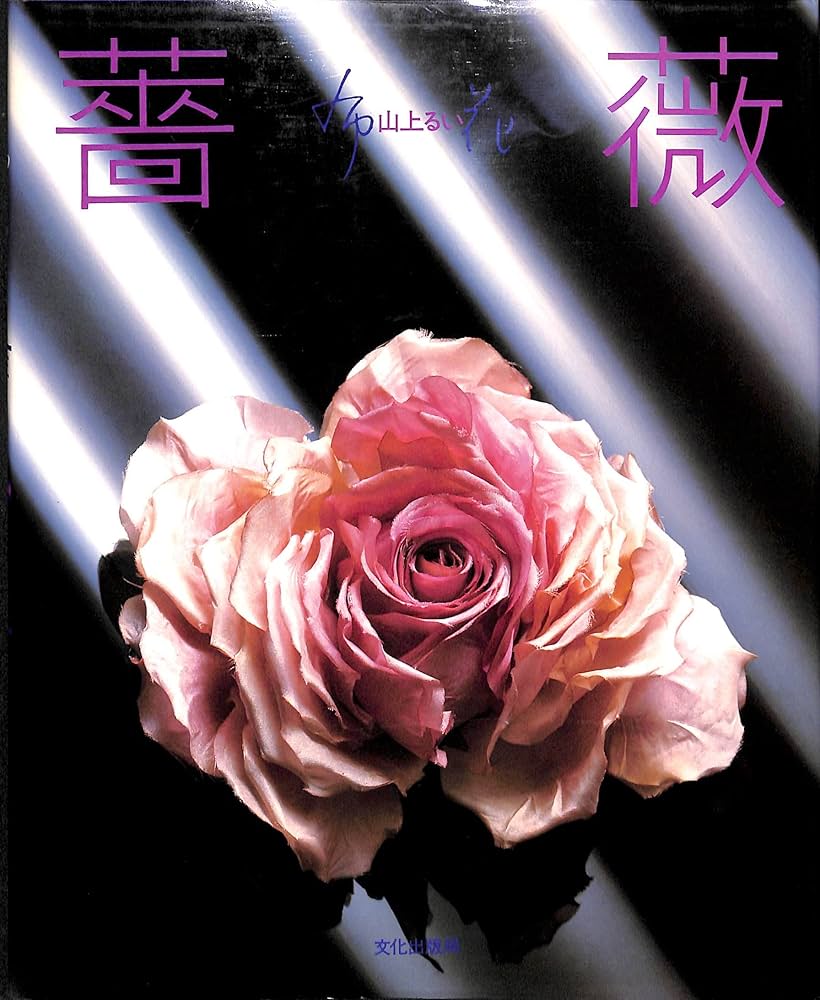 薔薇 (布花) | 山上 るい |本 | 通販 | Amazon