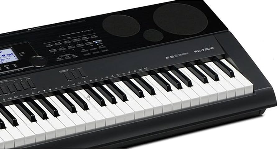 Amazon.co.jp: CASIO(カシオ) 76鍵盤 電子キーボード WK-6600
