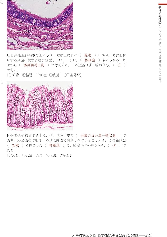 Amazon.co.jp: 臨床検査技師国家試験対策マスタードリル2024[2025年国