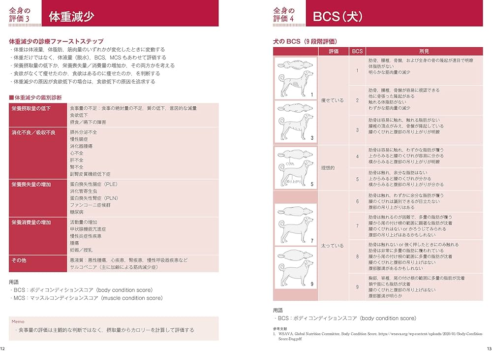 犬と猫の診療早引き便利帳 | 石川 勇一 |本 | 通販 | Amazon