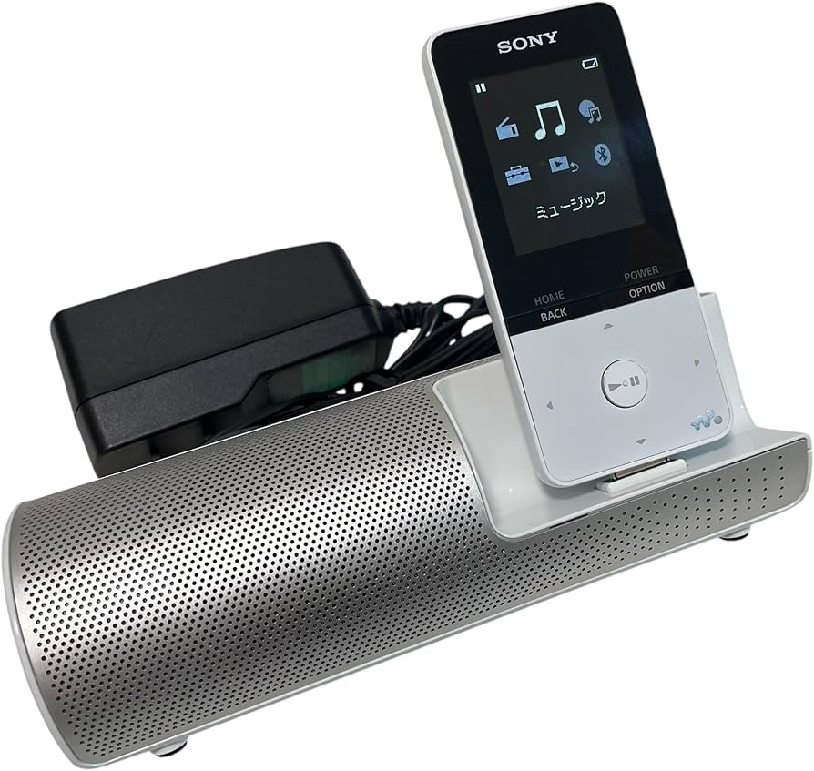 Amazon.co.jp: ソニー ウォークマン Sシリーズ 16GB NW-S315K : MP3