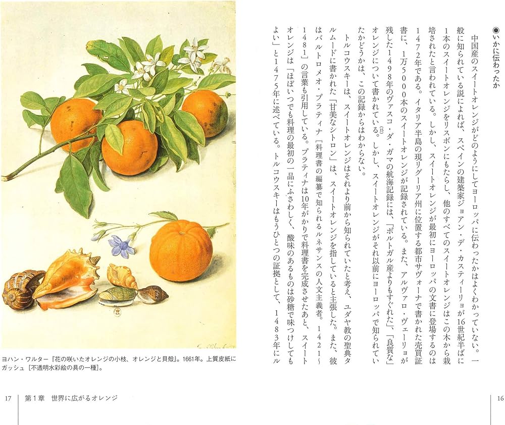 81Kc3pEea8L._AC_UF1000,