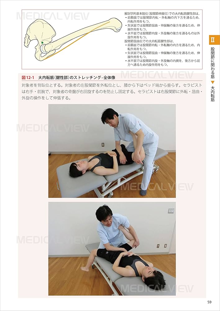 セラピストのための 機能解剖学的ストレッチング 下肢・体幹 | 鵜飼