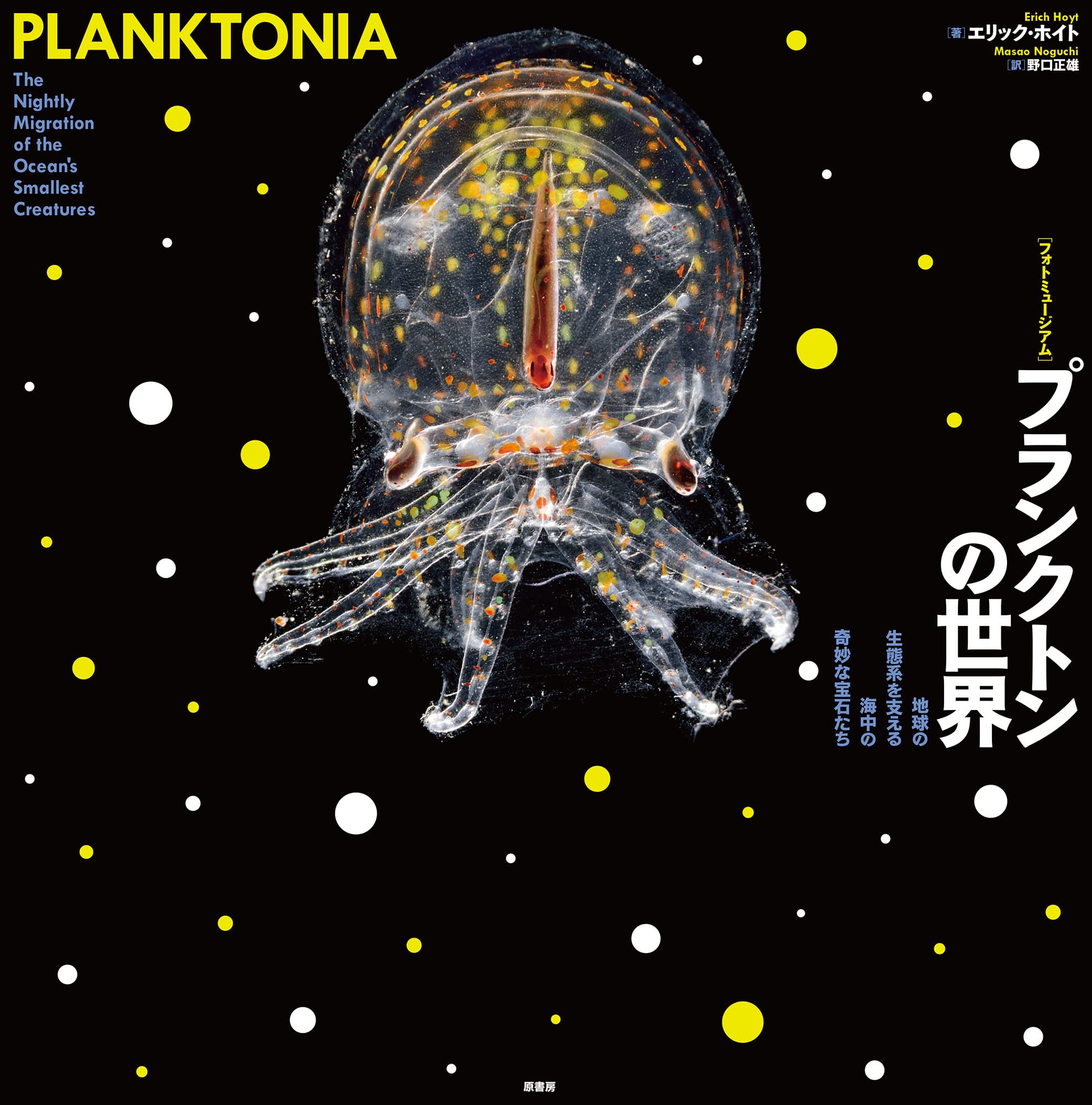 Amazon.co.jp: ［フォトミュージアム］プランクトンの世界:地球の生態