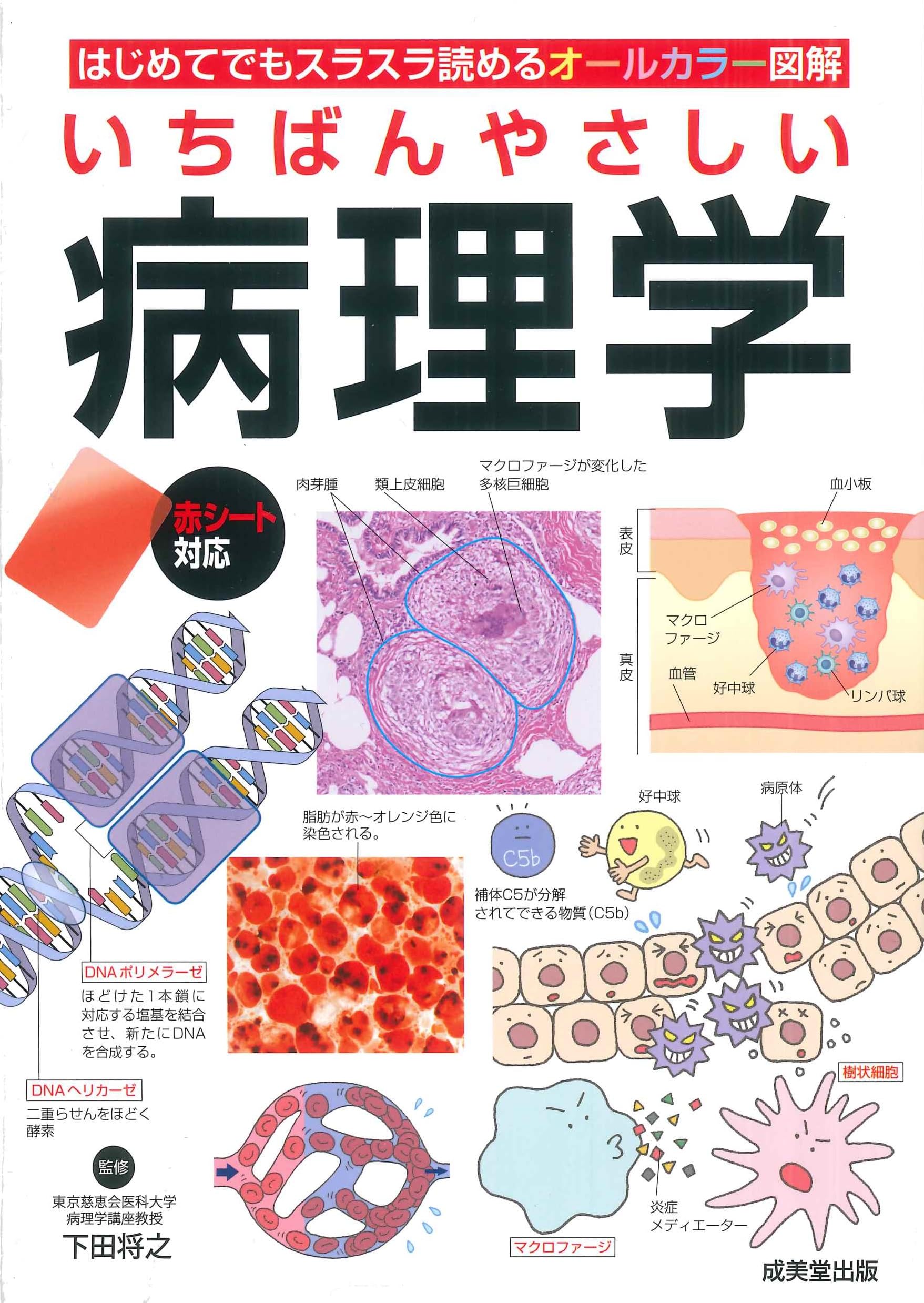 Amazon.co.jp: いちばんやさしい 病理学 : 下田 将之: 本