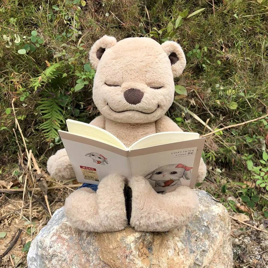 Amazon.co.jp: ヨガベアのメディテディ : おもちゃ