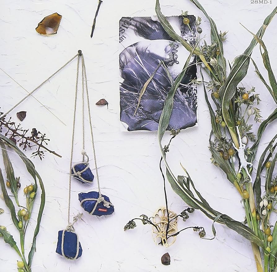 Amazon.co.jp: 夏のぬけがら - 真島昌利: ミュージック