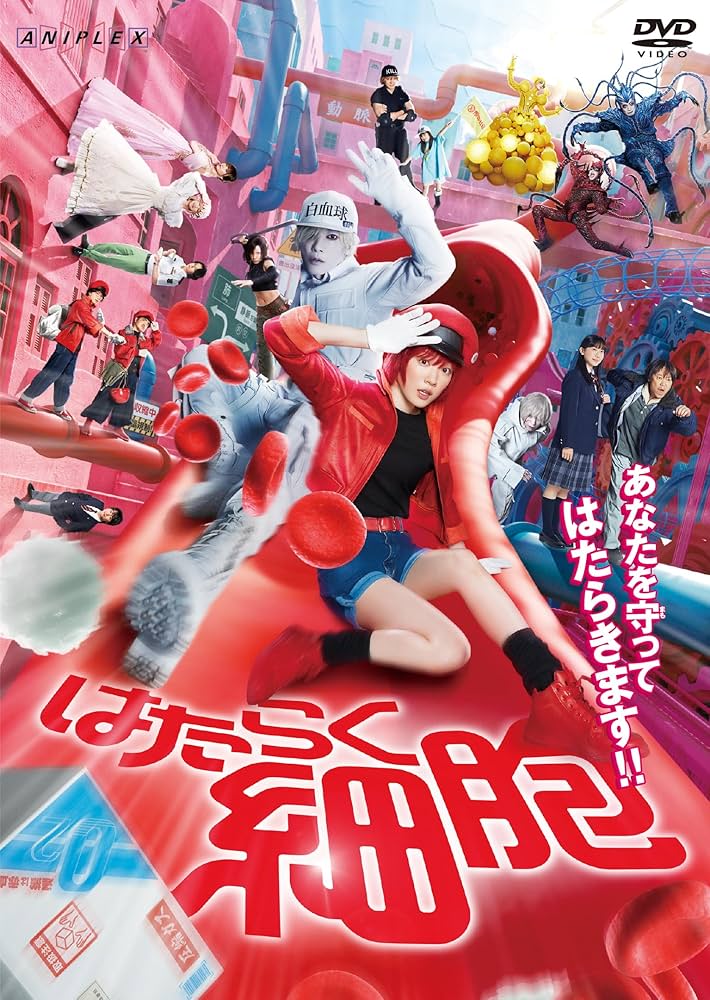 Amazon.co.jp: はたらく細胞(通常版) [DVD] : 永野芽郁: DVD