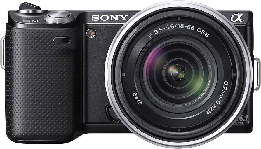 Amazon.com : Sony NEX-5N 16.1 MP Compact Interchangeable Lens
