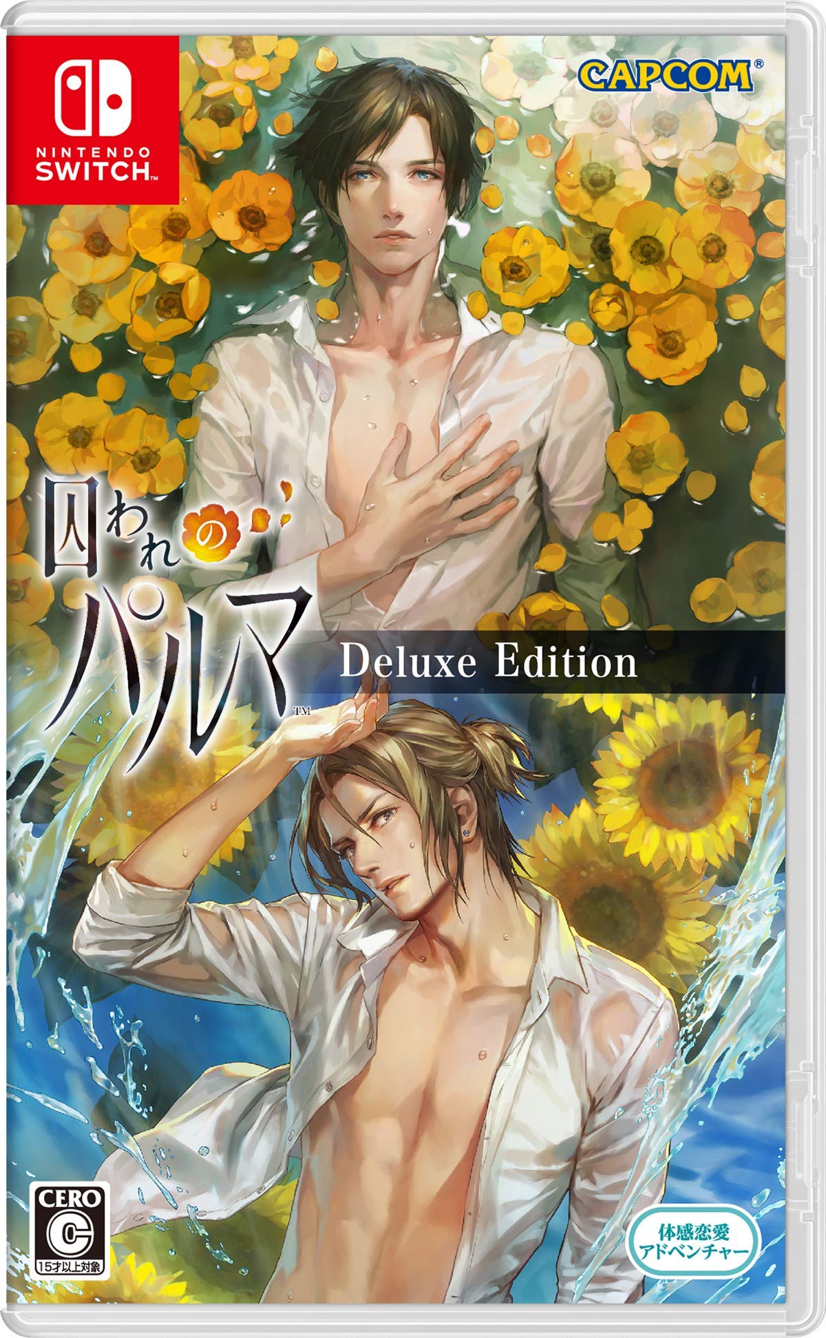 Amazon.co.jp: 囚われのパルマ デラックス エディション -Switch : ゲーム