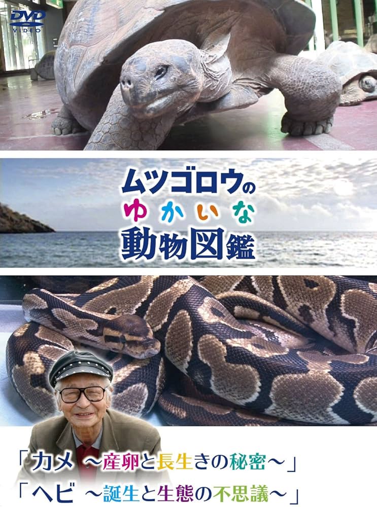 Amazon.co.jp: 『ムツゴロウのゆかいな動物図鑑』シリーズ「カメ ~産卵