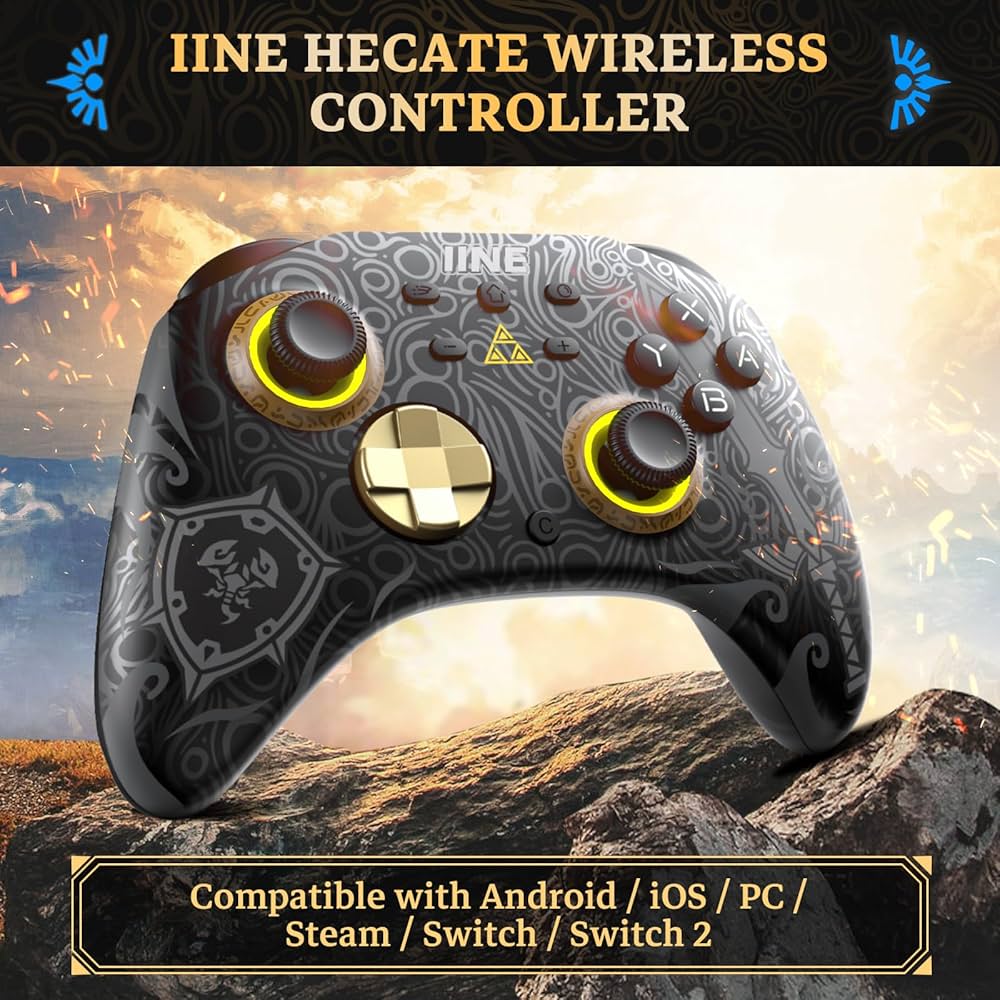 Amazon.com: IINE Wireless Switch Controller, Switch Pro