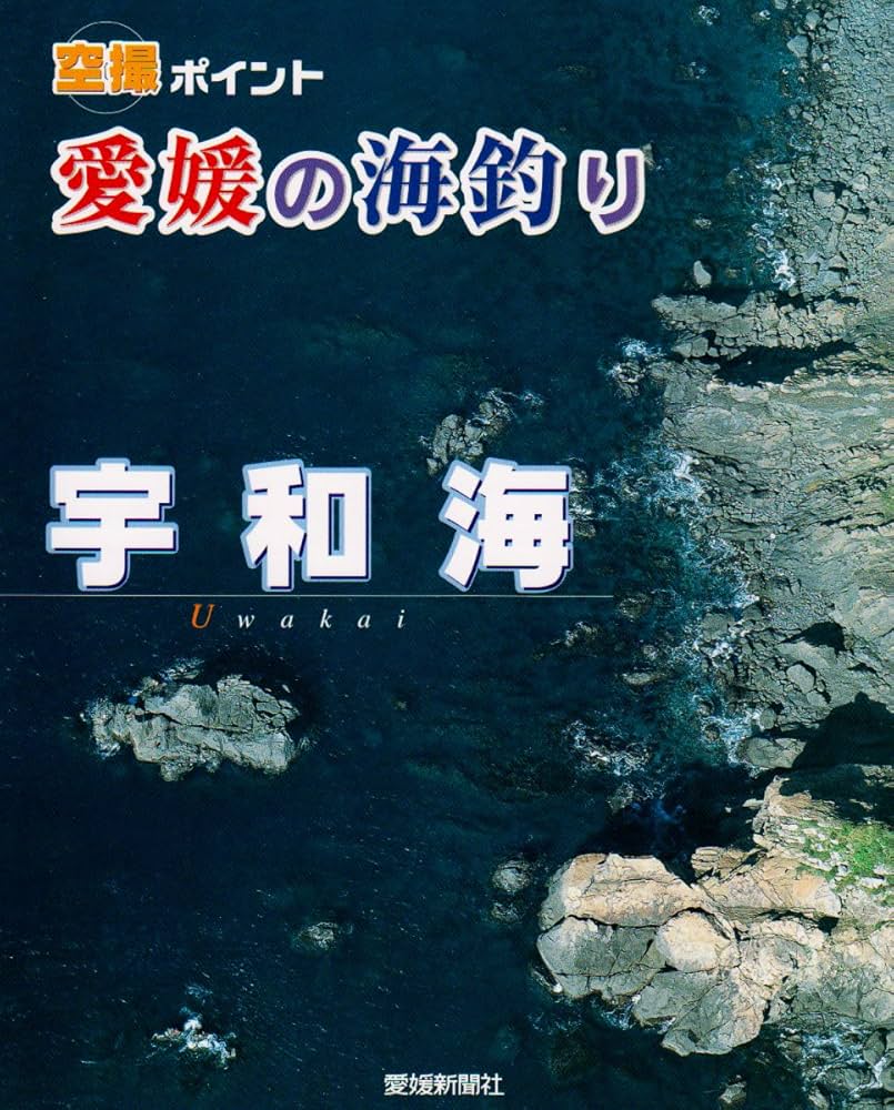 Amazon.co.jp: 愛媛の海釣り宇和海: 空撮ポイント : Japanese Books