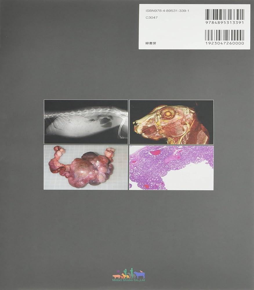 Amazon.co.jp: ウサギの医学 : 霍野 晋吉: 本