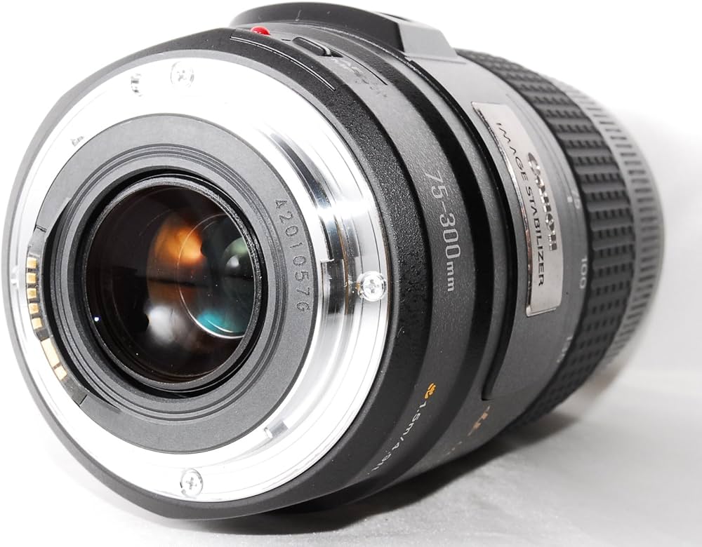 Amazon.co.jp: Canon EF 75-300mm F4-5.6 IS USM : 家電＆カメラ