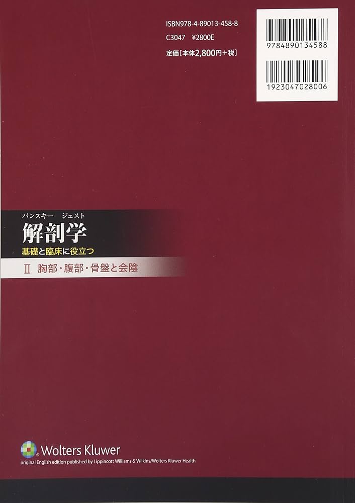 81RWorwuKuL._AC_UF1000,